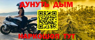 мяу мяу мука Гай