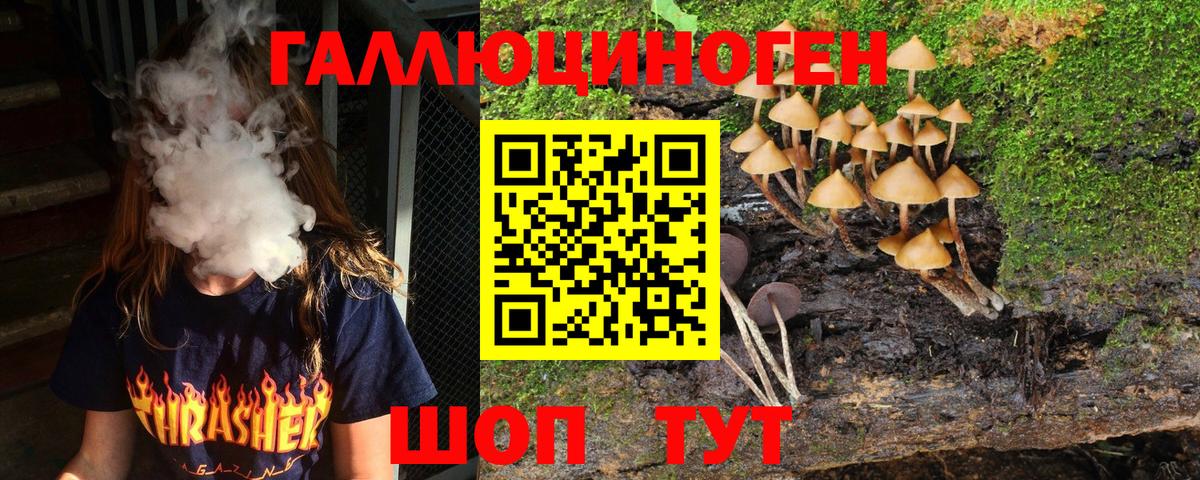 Псилоцибиновые грибы Psilocybe Муром