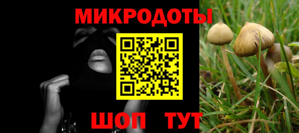 Псилоцибиновые грибы мухоморы  Псилоцибиновые грибы GOLDEN TEACHER  цены наркотик  Вход с VPN  Муром 